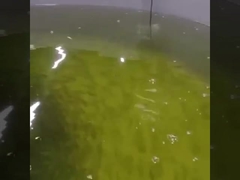 온라인으로 광학 용존 산소 센서 Rs485 산소 광학 센서